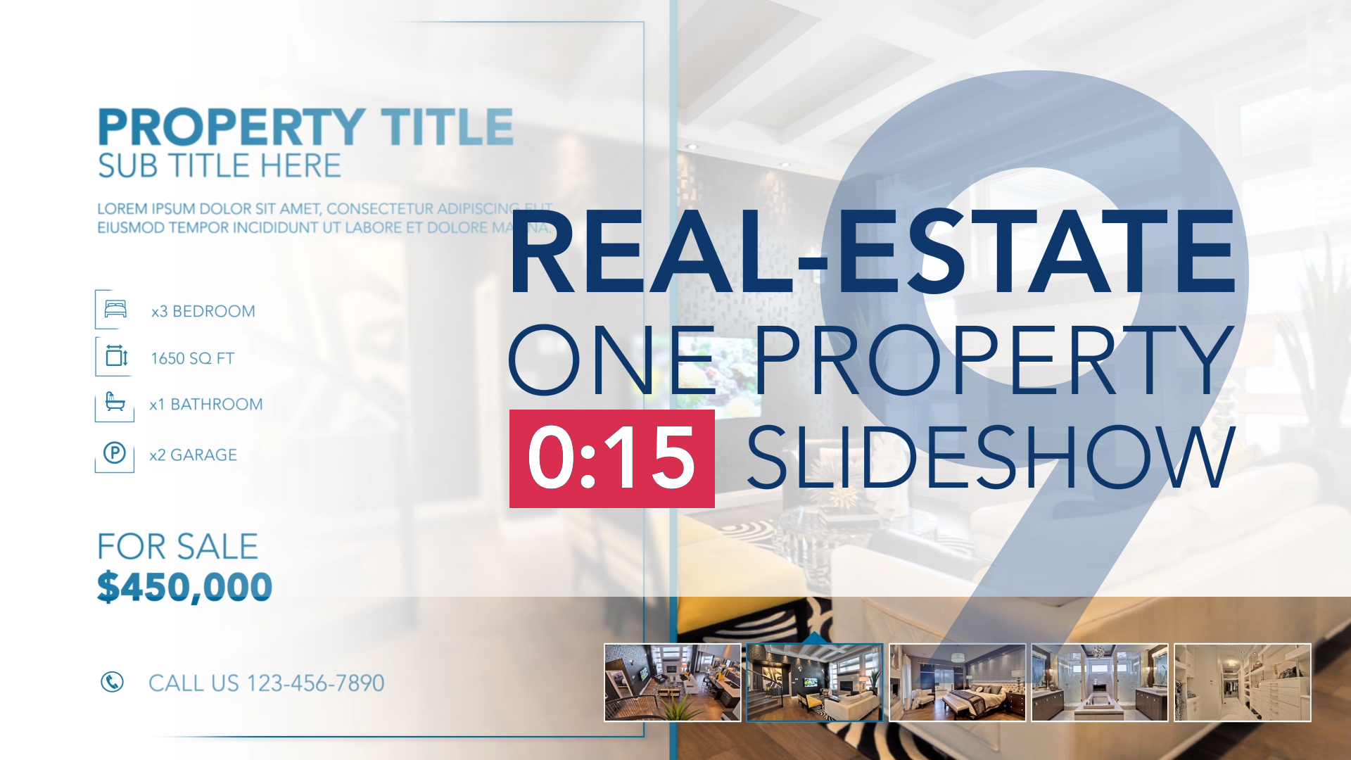 RealEstate One Property 15s Slideshow 9